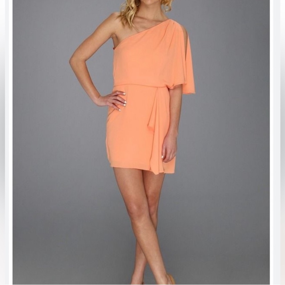 NWOT - BCBGMaxAzria Mina One-Shoulder Dress